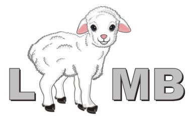 küçük kuzu ve onun adını