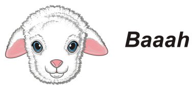 küçük kuzu ve kelime baaah namlu