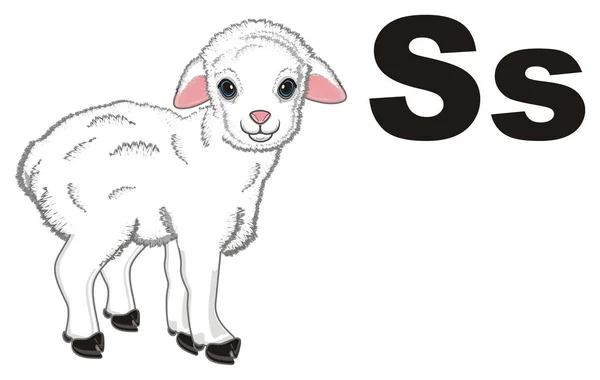 Little Sheep Stand Letters — Stock Photo, Image