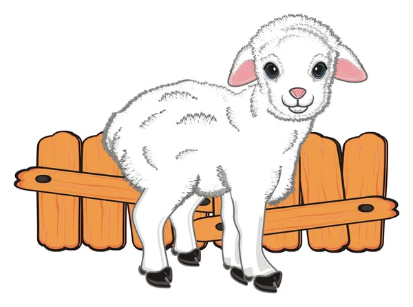 フェンスの近くの小さな子羊スタンド — ストック写真