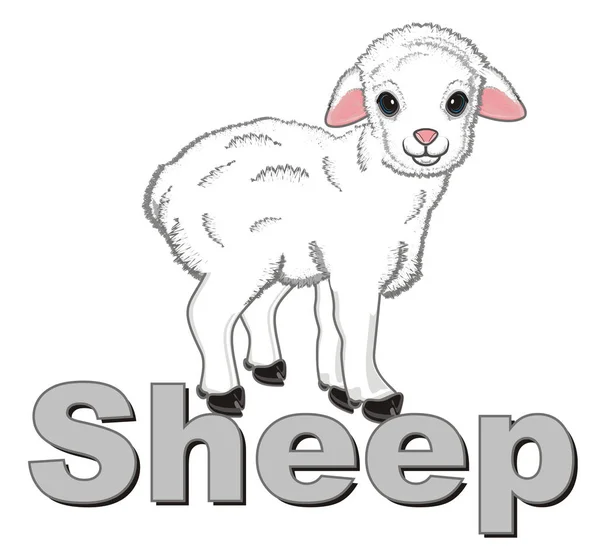 小さな羊という言葉の上に立つ — ストック写真