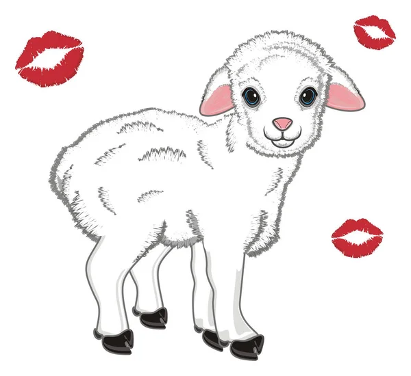 羊と多くの赤いキス — ストック写真