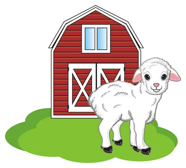 Little Lamb Stand Grass House — Stock Photo, Image