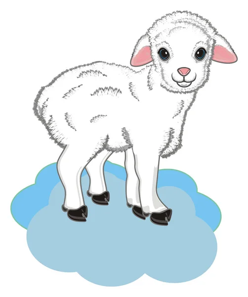 Little Lamb Stand Blue Sky — Stock Photo, Image