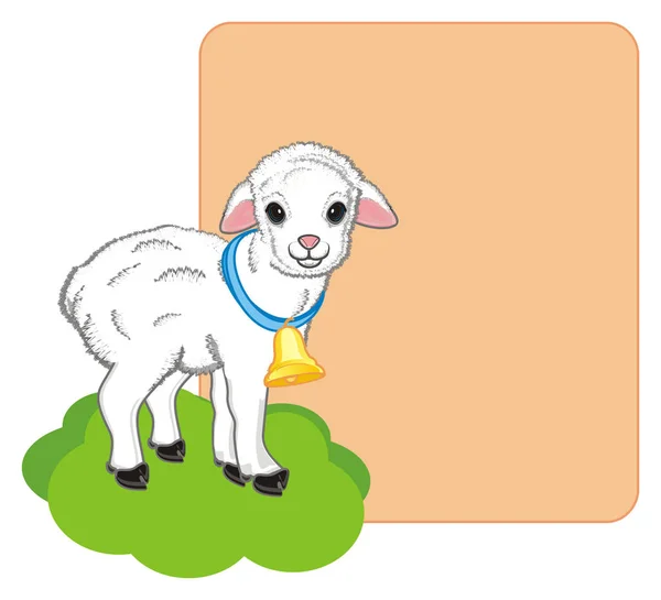 Little Lamb Stand Grass Clean Paper — Stock Photo, Image