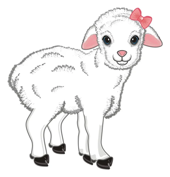 Little Lamb Girl Pink Bow — Stock Photo, Image