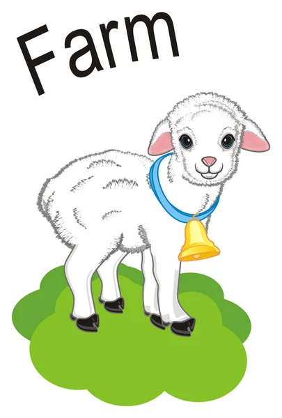 Little Lamb Stand Grass Word Farm — Stock Photo, Image