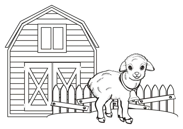 Coloriage Petit Support Agneau Sur Ferme — Photo