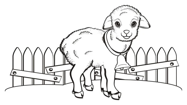 Coloring Little Lamb Stand Fence — Stock Photo, Image