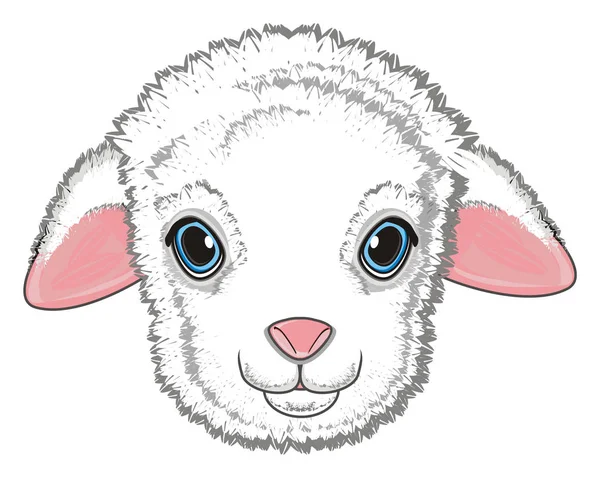 Snout Cute Little Lamb — Stock Photo, Image