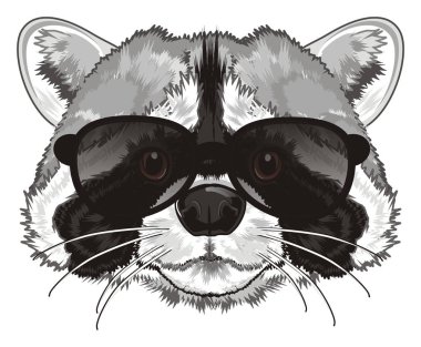 güneş gözlüklü şirin Rakun burun