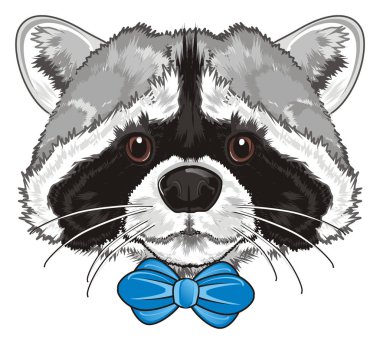 Mavi fiyonklu şirin Rakun burun