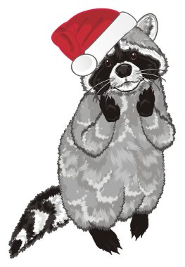 Kırmızı tatil şapkalı şirin Rakun standı