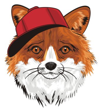 burun Fox serin kırmızı şapkalı