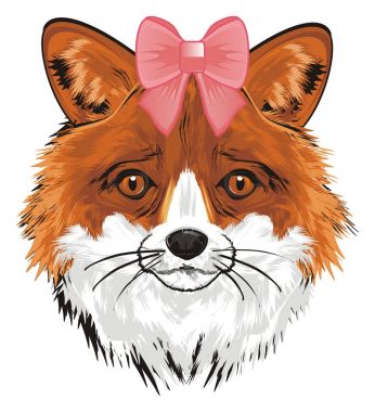 Burnu pembe fiyonklu Fox