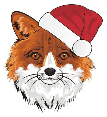 Burnu kırmızı Noel şapka ile Fox