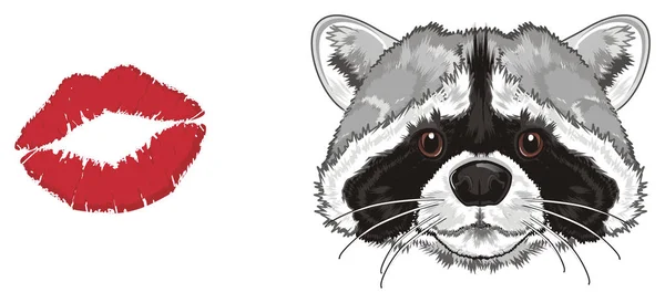 snout of cute raccoon with red kiss