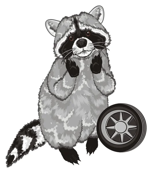 Carino Raccoon Stand Con Ruota — Foto Stock