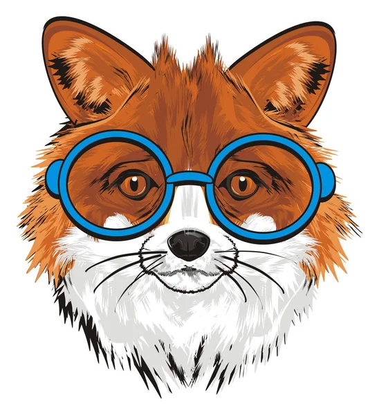 Čenich Fox Modré Kulaté Brýle — Stock fotografie