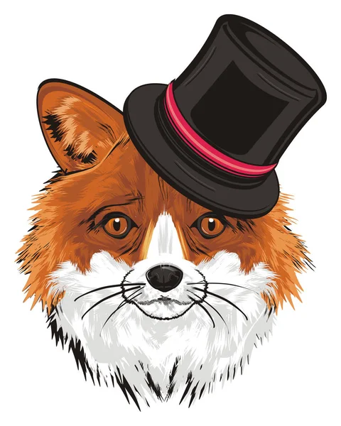 snout of fox in black cylinder