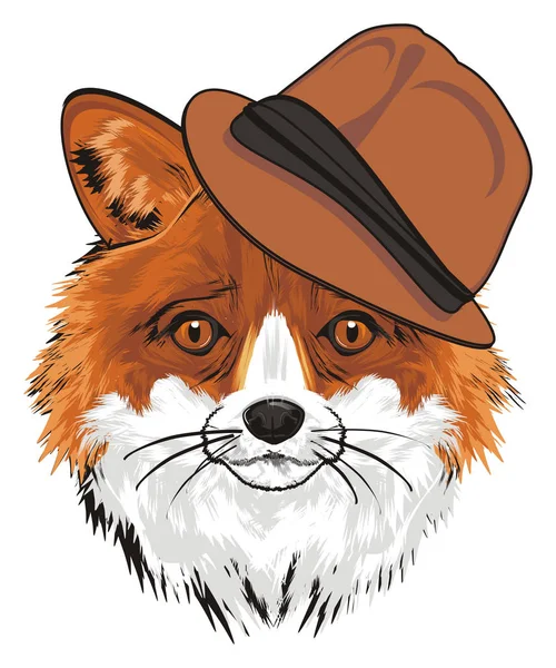 Ρύγχος Του Fox Καφέ Καπέλο — Φωτογραφία Αρχείου
