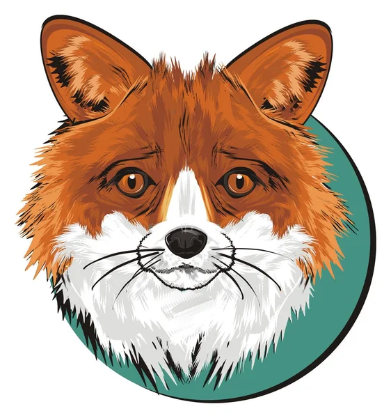 Pysk Peek Fox Się Ikony — Zdjęcie stockowe