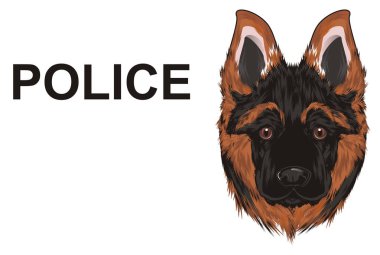 Çoban ve word polis burnu