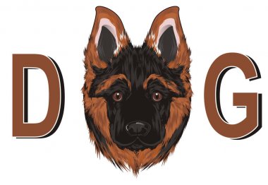 burun çoban ve büyük harflerle d ve g