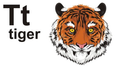 burun Tiger ile abc