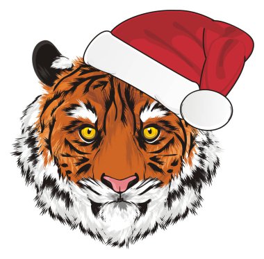 Burnu kırmızı şapkalı bir kaplan