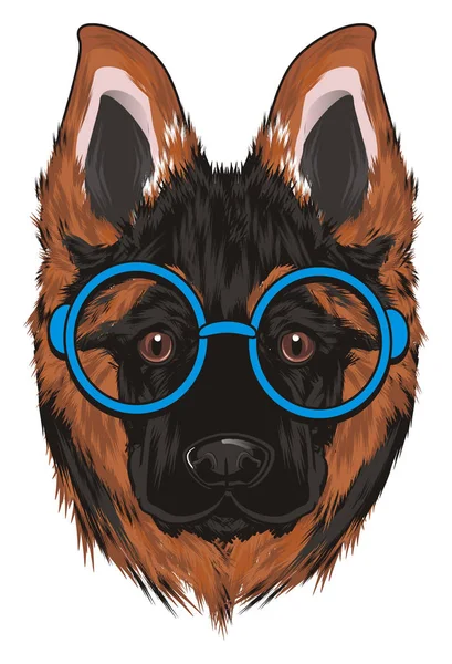 Snout Shepherd Blue Glasses — Stock Photo, Image