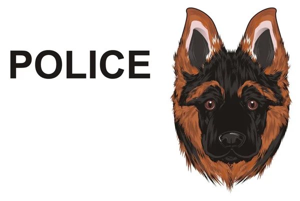 Snout Shepherd Word Police — Stock Photo, Image