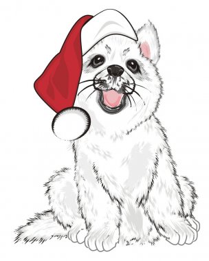 Kırmızı tatil şapkalı beyaz husky yavrusu