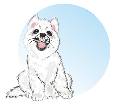 Mavi kutsal kişilerin resmi ile beyaz husky yavrusu