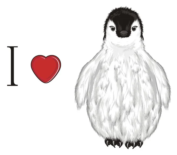 Белый Пингвин Красным Сердцем Буквой — стоковое фото