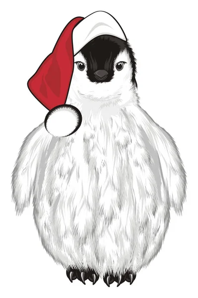 White Baby Penguin Red Holiday Hat — Stock Photo, Image