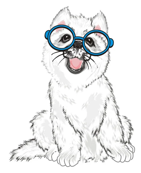 Szczeniak Husky Biały Niebieski Okulary — Zdjęcie stockowe