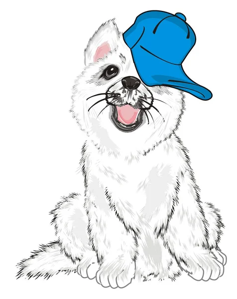 Cachorro Husky Blanco Con Tapa Fresca Azul — Foto de Stock