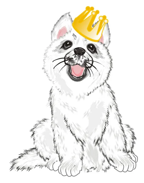 Cachorro Husky Branco Com Coroa Ouro — Fotografia de Stock