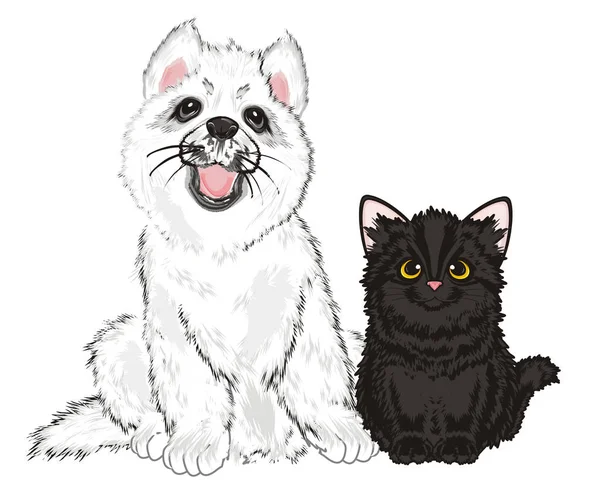 小狗白色哈士奇与黑小猫 — 图库照片