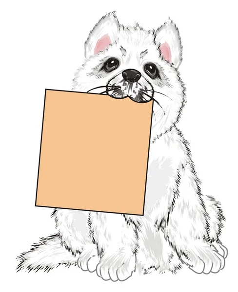 Puppy Van Witte Husky Houden Een Schone Papier — Stockfoto