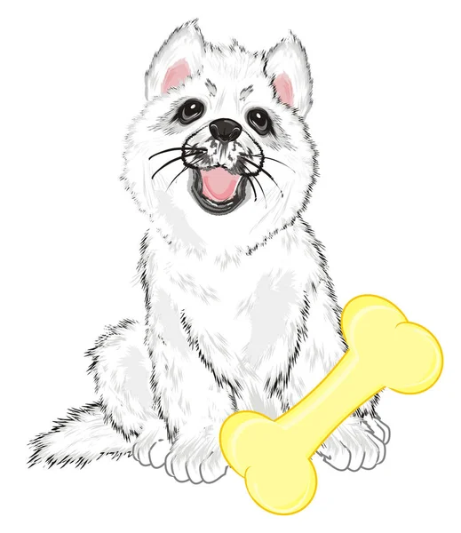 Puppy Van Witte Husky Met Grote Lekker Eten — Stockfoto