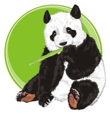 Bambu ve boş yuvarlak simge ile sevimli panda