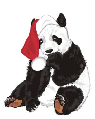 Noel Baba'nın kırmızı şapka oturmak sevimli panda