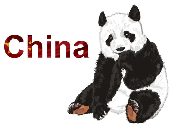 Cute Panda Colored Word China — Stock Photo, Image