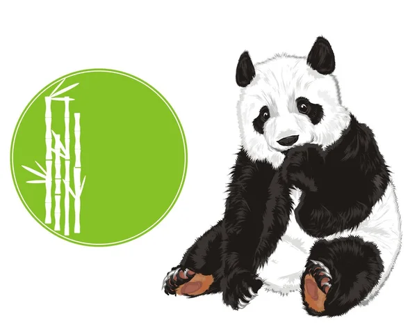 Roztomilý Panda Prázdné Praporec Bílým Bambus — Stock fotografie