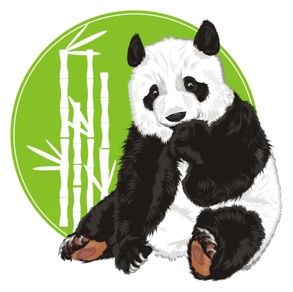 Χαριτωμένο Panda Κολλήσει Έξω Από Πράσινο Εικονίδιο — Φωτογραφία Αρχείου