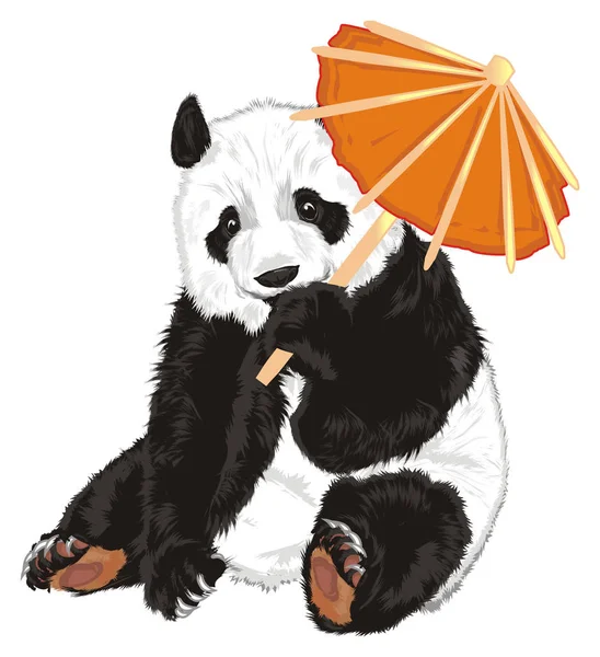 Mignon Panda Assis Tenir Parapluie Papier — Photo