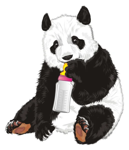 Mignon Panda Tenir Boire Lait — Photo