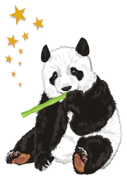 Mignon Panda Tenir Bambou Étoiles Voler — Photo